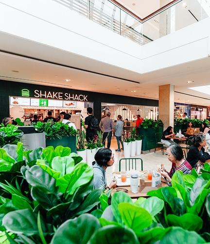 Shake Shack Now Open