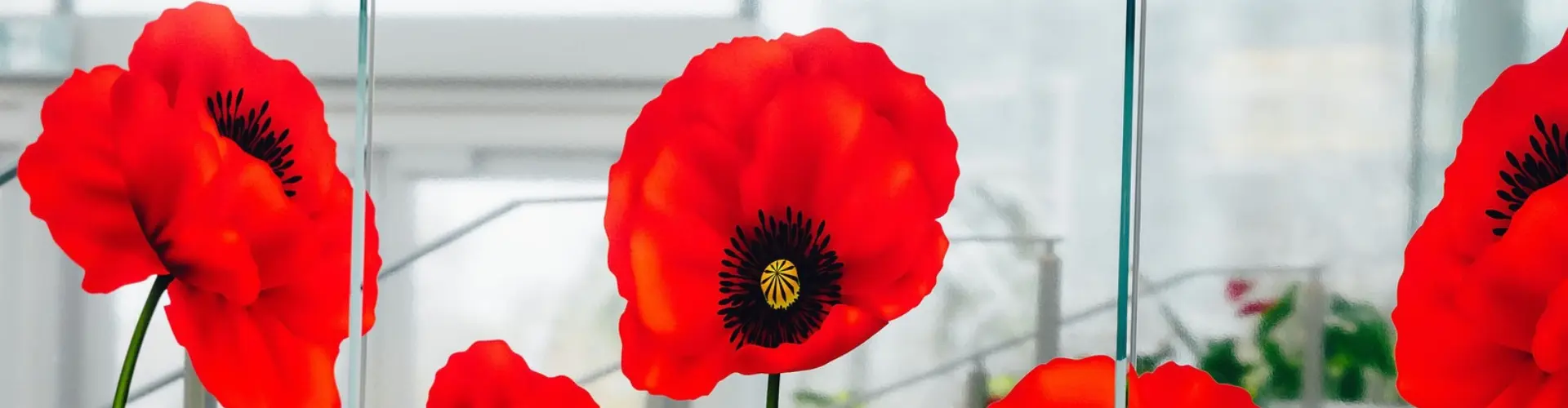 Royal Canadian Legion’s Poppy Campaign
